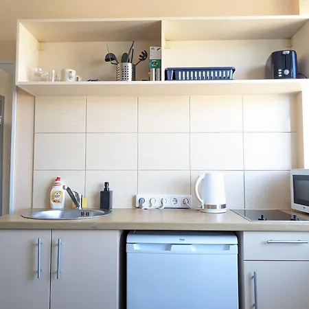 Апартаменты Mini