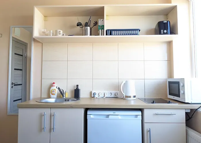 Апартаменты Mini